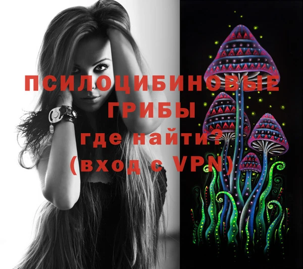 винт Богородицк