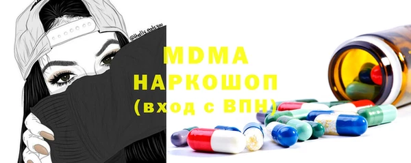 индика Сатка