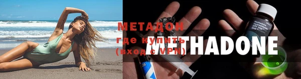 шишки Белокуриха