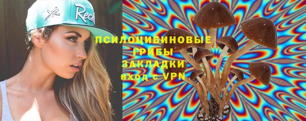дживик Богородск
