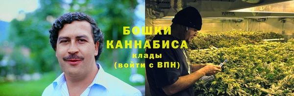 дживик Богородск